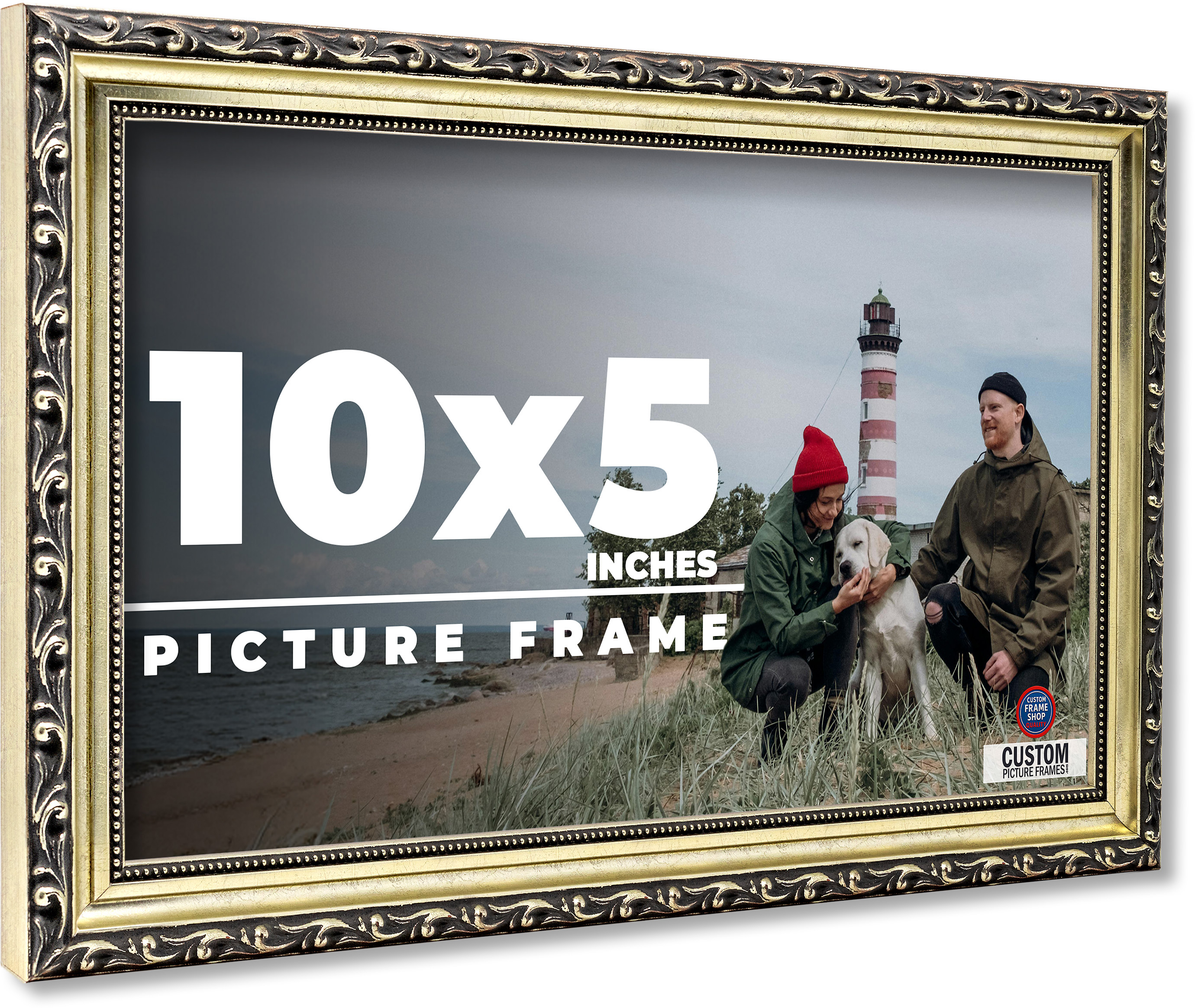 10×5 Frame Silver Solid Wood Picture Frame Width 1.125 Inches | Interior Frame D