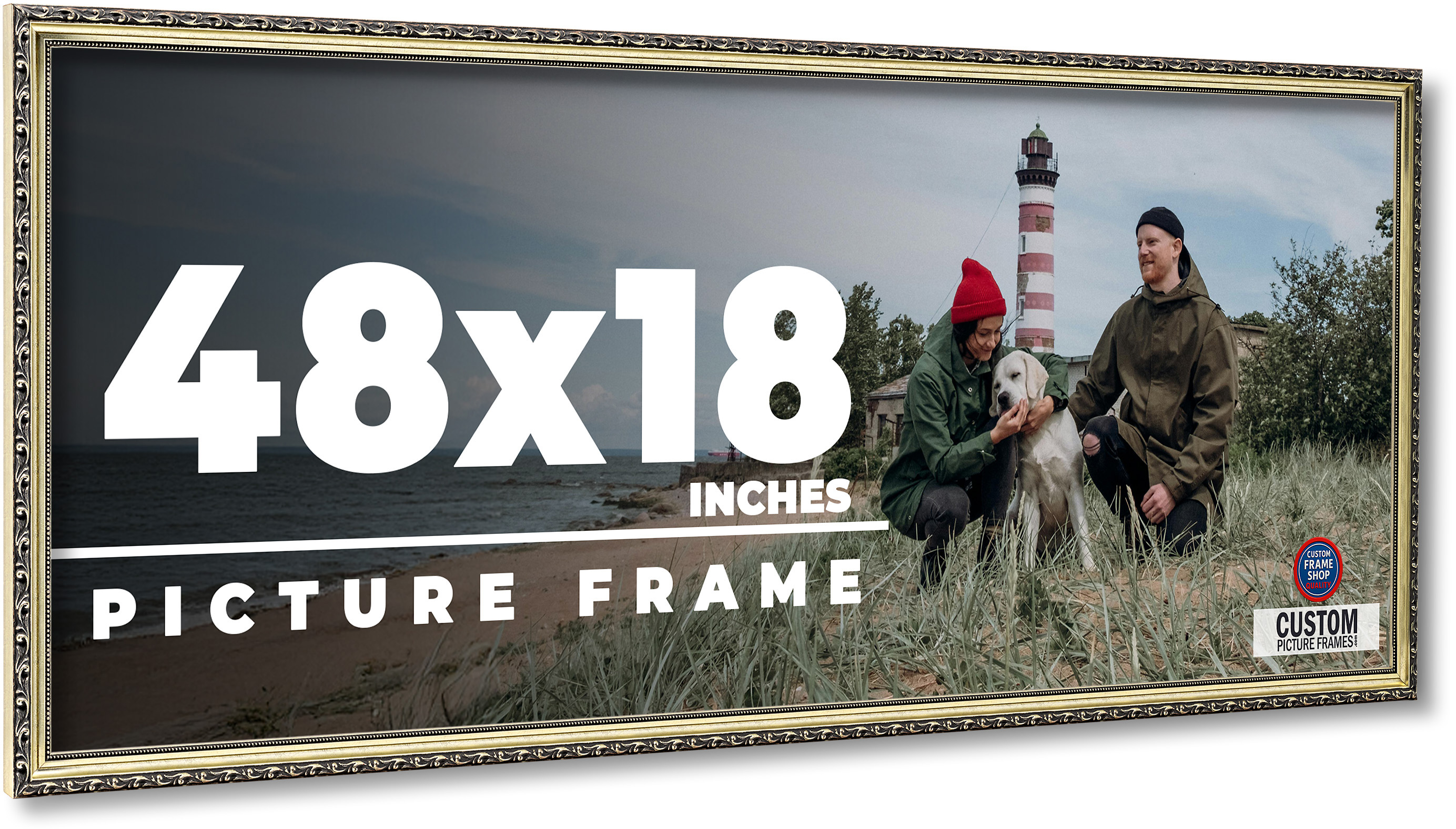 48x18 Frame Silver Solid Wood Picture Frame Width 1.125 Inches | Interior Frame main product image
